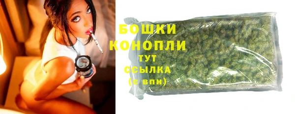 амф Арсеньев