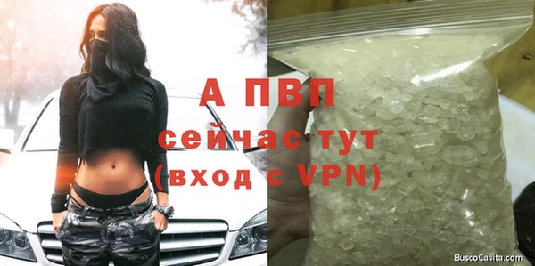 амф Арсеньев