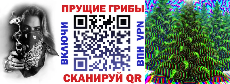 маркетплейс Telegram  Пудож  Псилоцибиновые грибы Magic Shrooms 